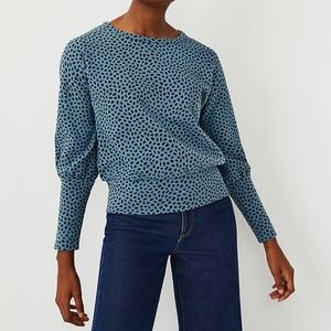 Ann Taylor Teal Frost Animal Print Dolman Top